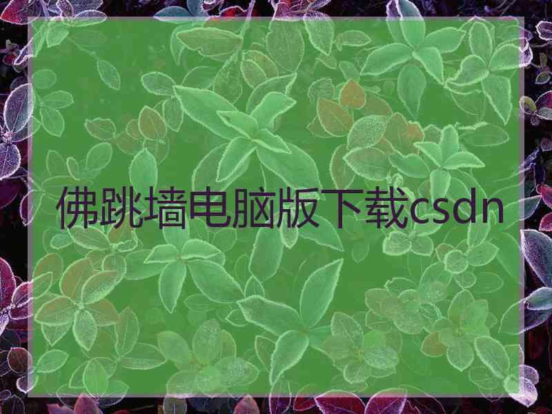 佛跳墙电脑版下载csdn