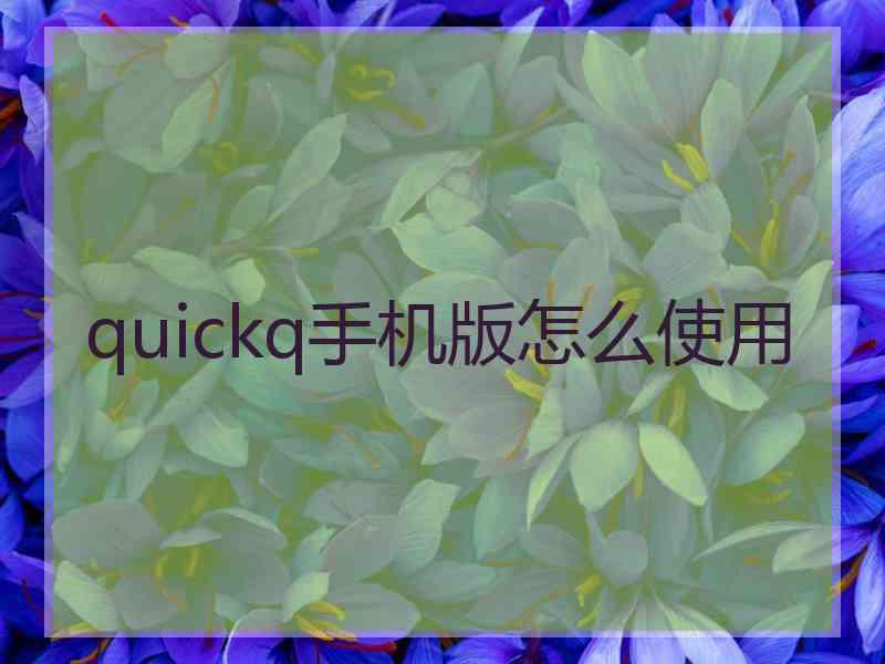 quickq手机版怎么使用