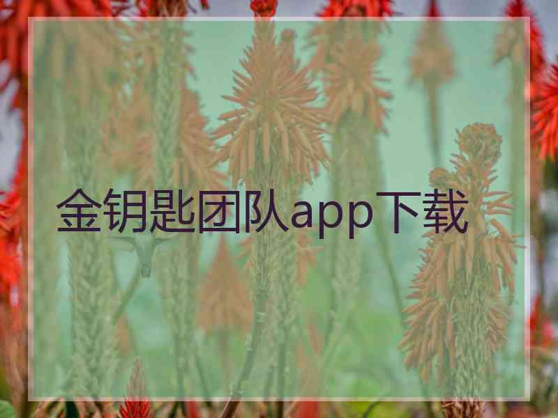 金钥匙团队app下载