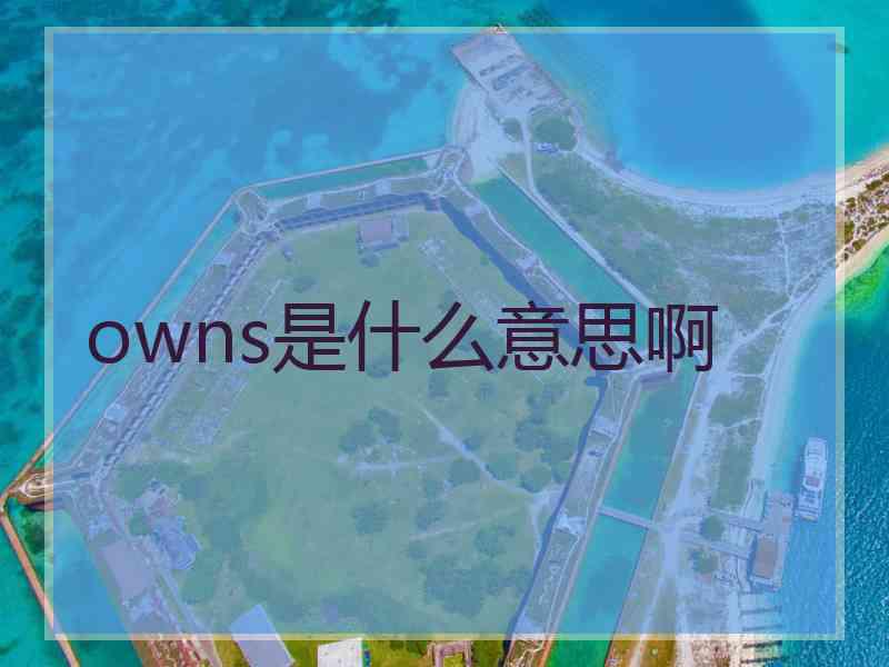 owns是什么意思啊