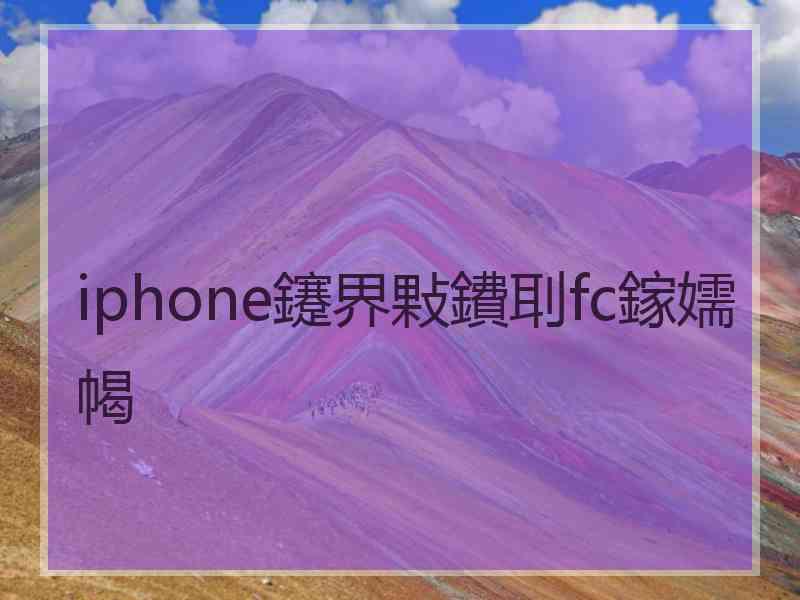 iphone鑳界敤鐨刵fc鎵嬬幆