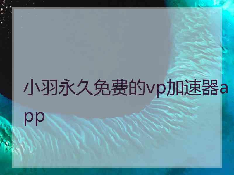 小羽永久免费的vp加速器app