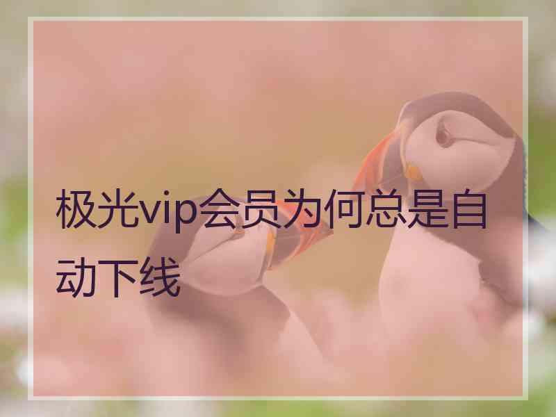 极光vip会员为何总是自动下线