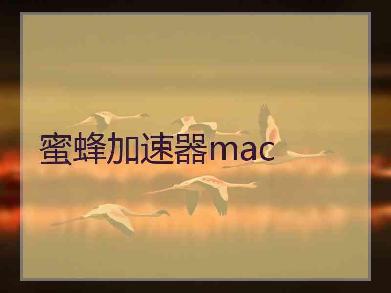 蜜蜂加速器mac