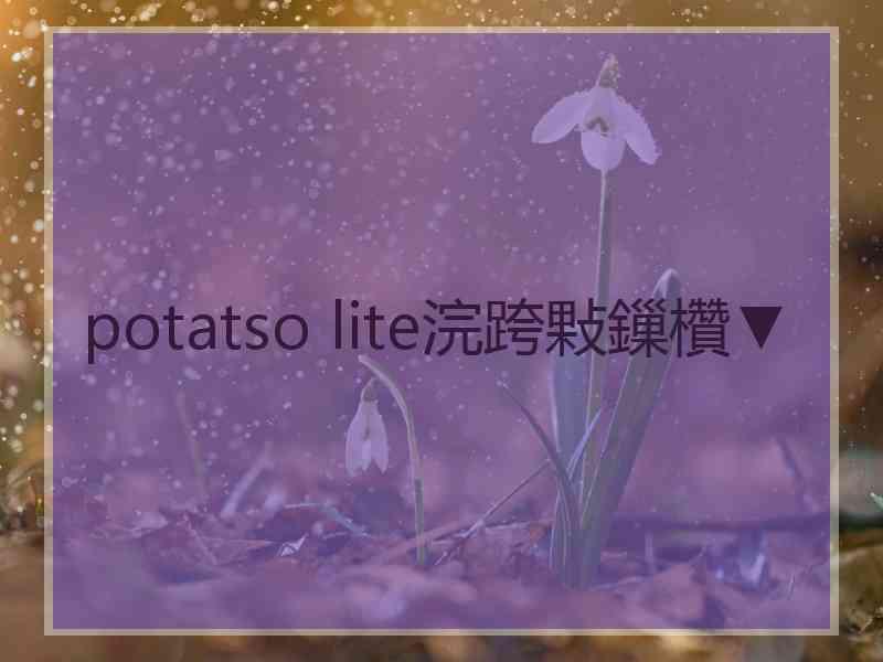 potatso lite浣跨敤鏁欑▼