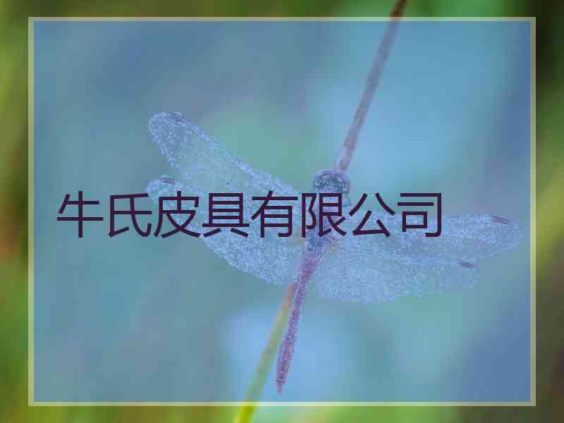 牛氏皮具有限公司