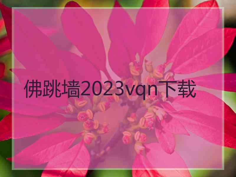 佛跳墙2023vqn下载