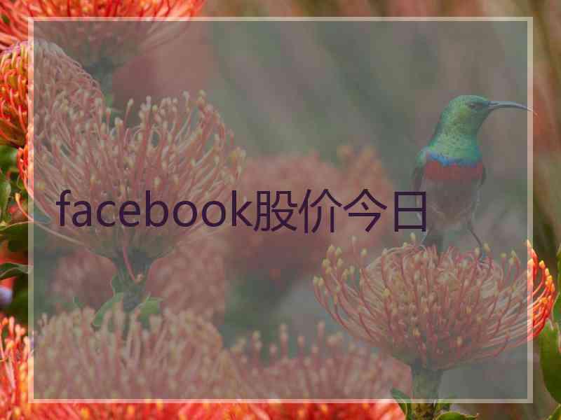 facebook股价今日