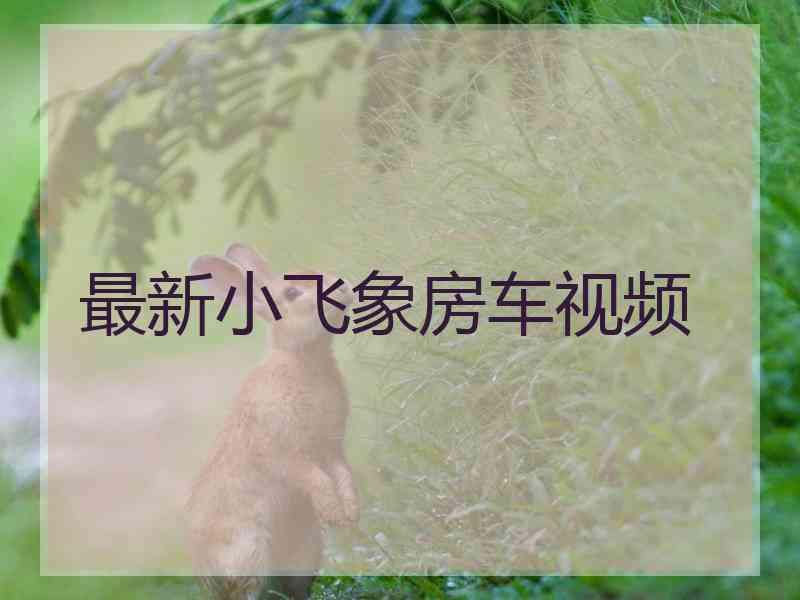 最新小飞象房车视频