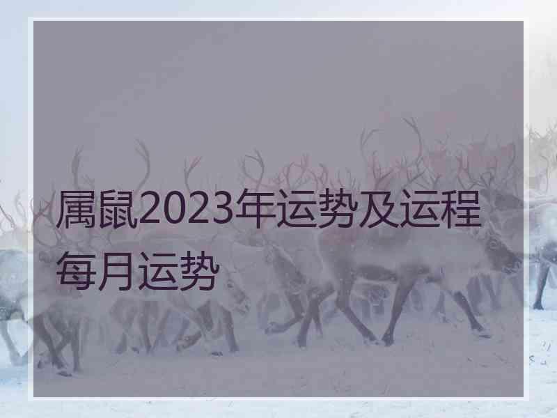 属鼠2023年运势及运程每月运势