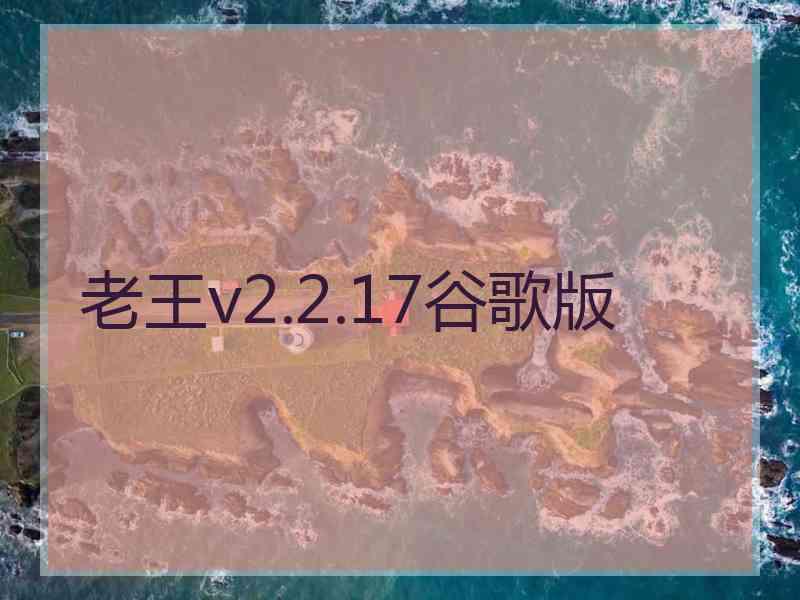 老王v2.2.17谷歌版