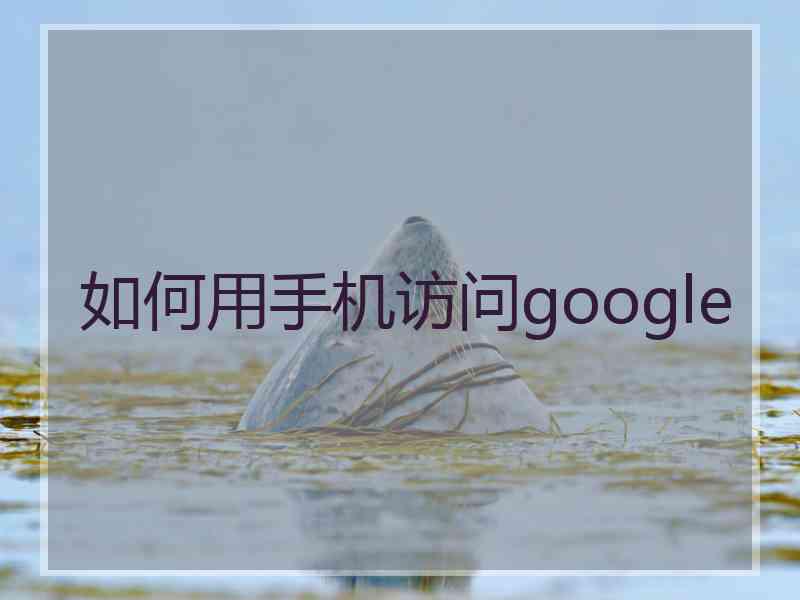 如何用手机访问google