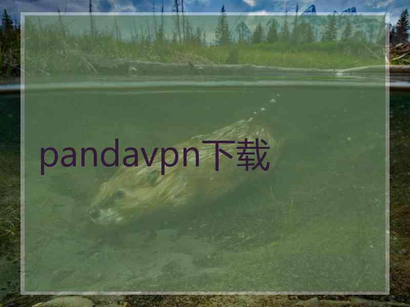 pandavpn下载