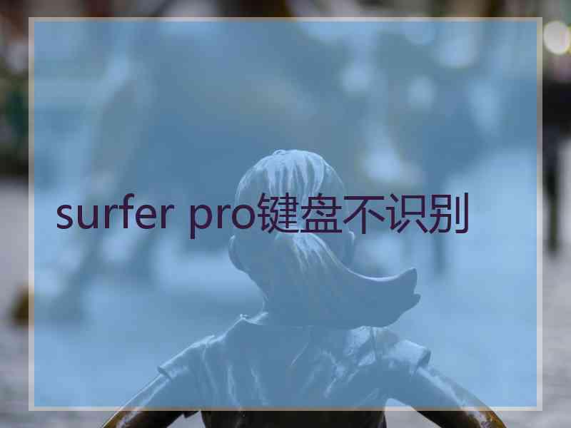 surfer pro键盘不识别