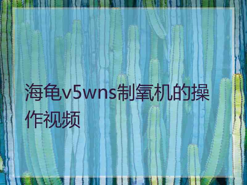 海龟v5wns制氧机的操作视频