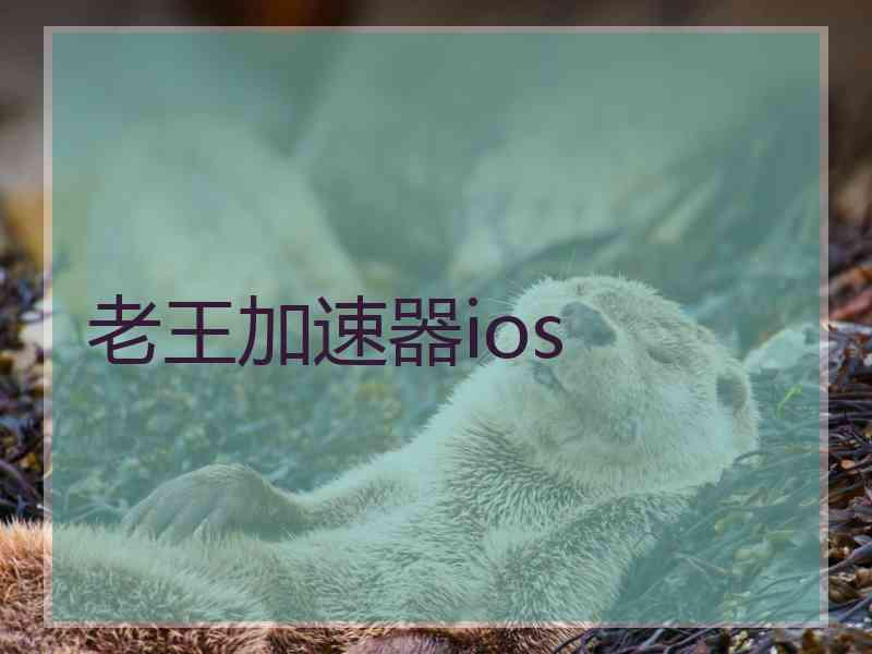 老王加速器ios