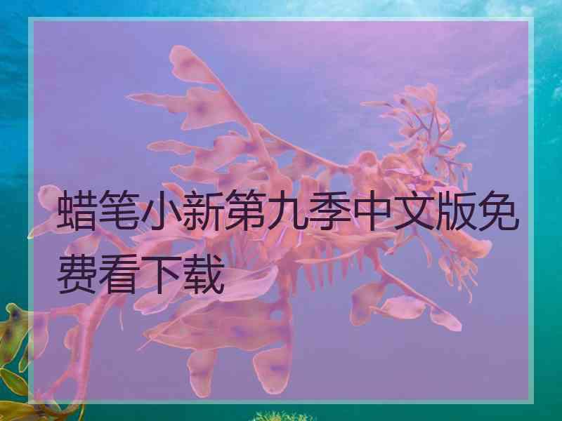 蜡笔小新第九季中文版免费看下载