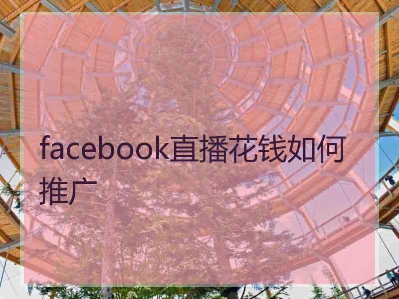 facebook直播花钱如何推广