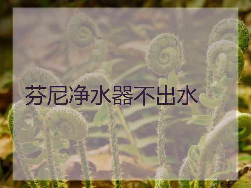 芬尼净水器不出水