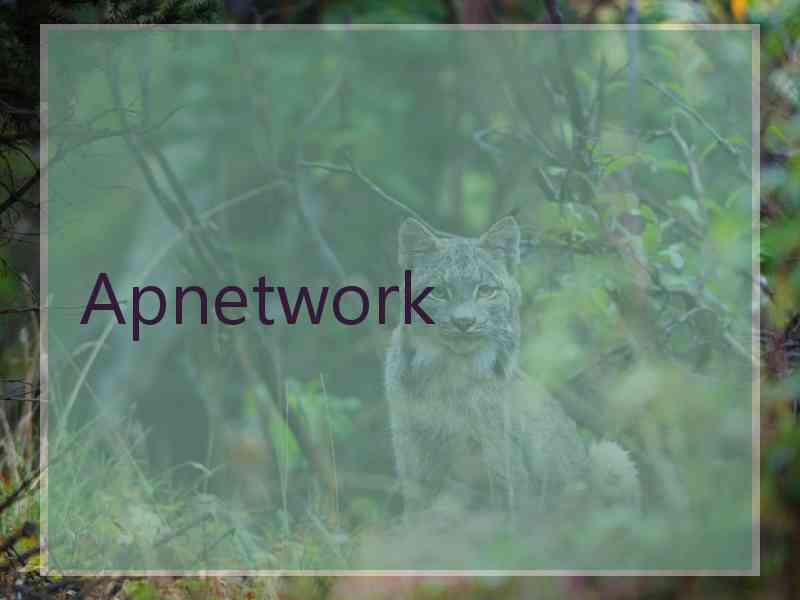 Apnetwork