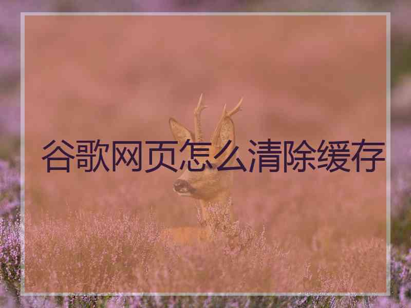 谷歌网页怎么清除缓存