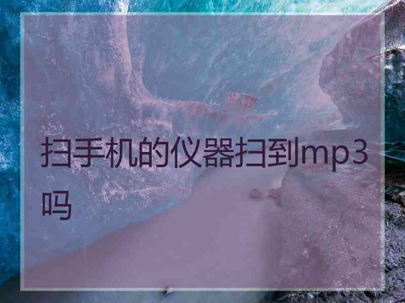 扫手机的仪器扫到mp3吗