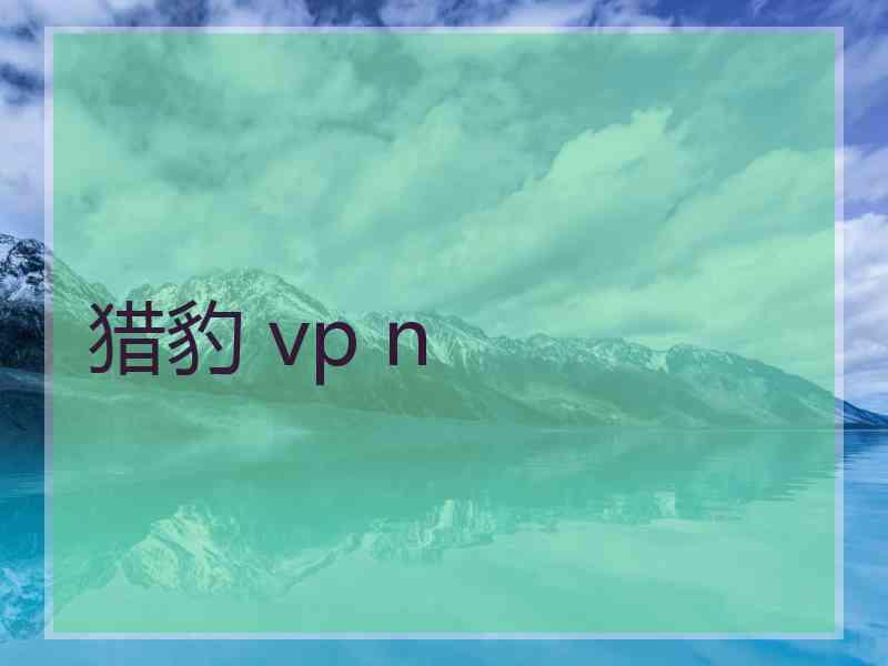 猎豹 vp n