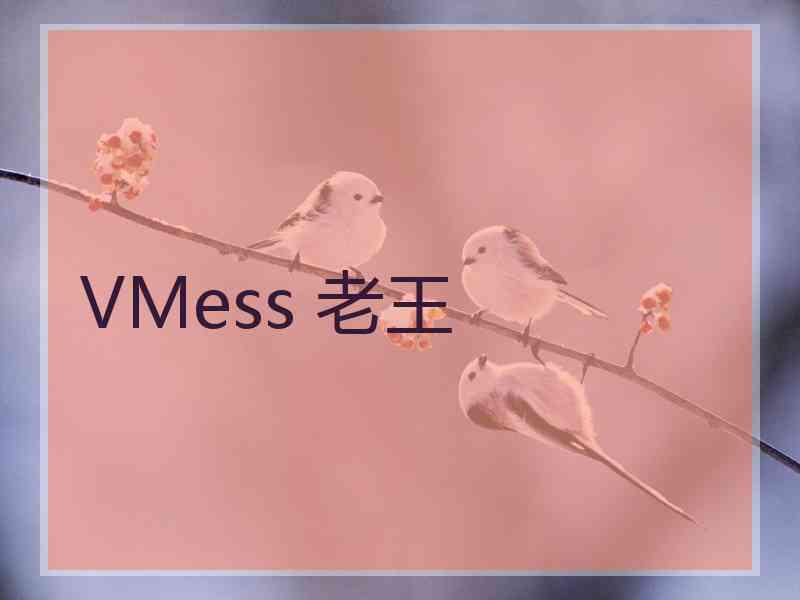 VMess 老王