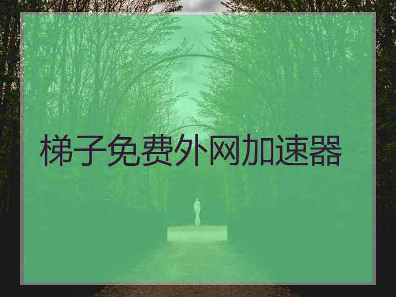 梯子免费外网加速器