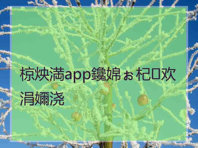 椋炴満app鑱婂ぉ杞欢涓嬭浇