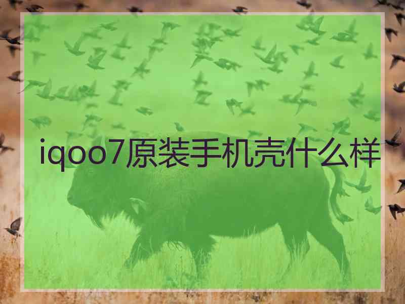 iqoo7原装手机壳什么样