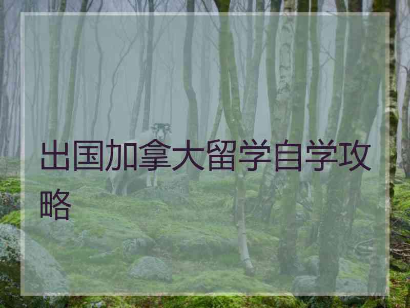 出国加拿大留学自学攻略