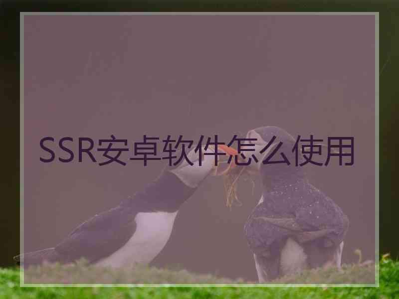 SSR安卓软件怎么使用