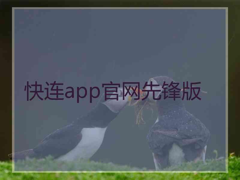 快连app官网先锋版