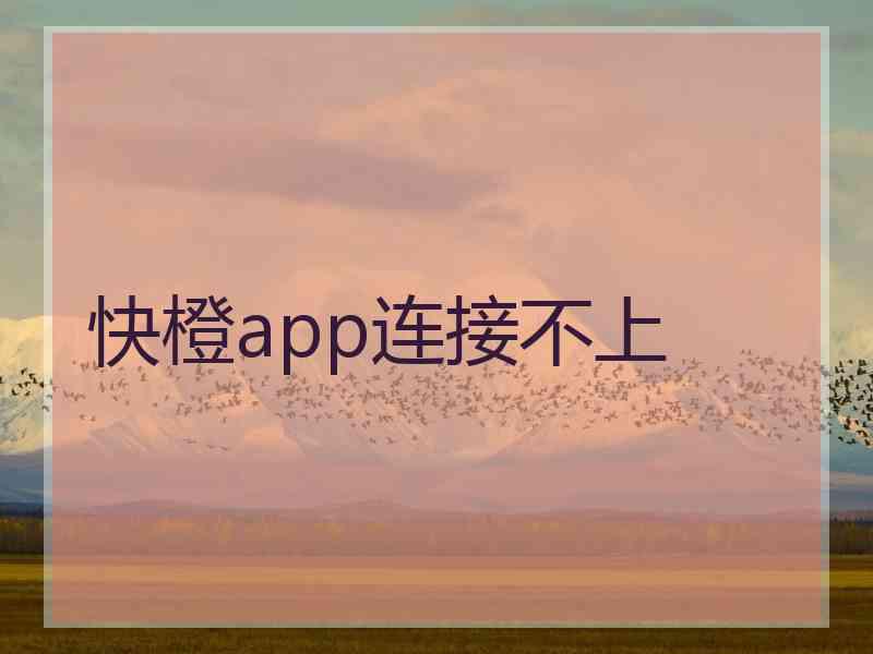 快橙app连接不上