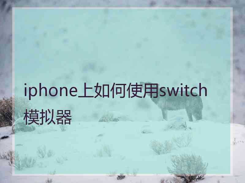 iphone上如何使用switch模拟器