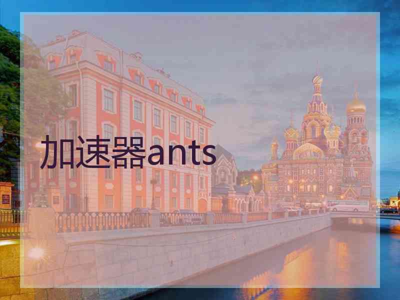 加速器ants