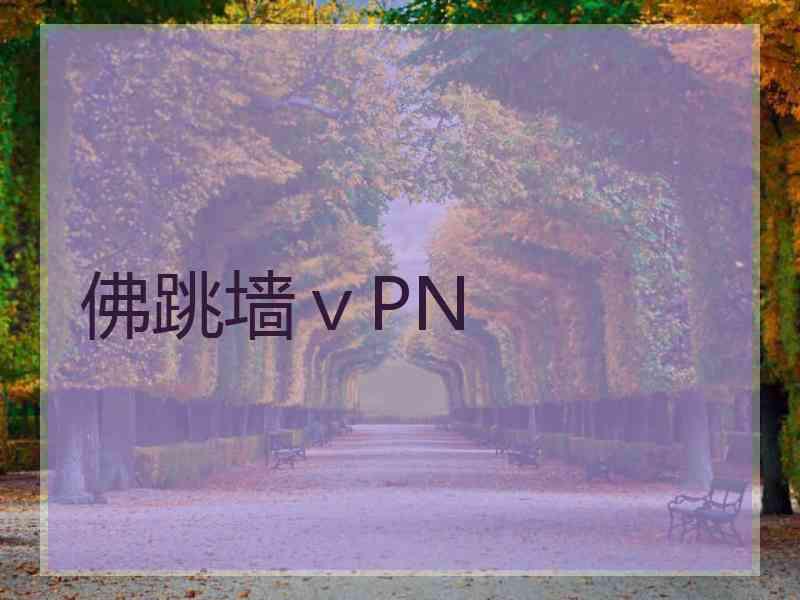 佛跳墙ⅴPN