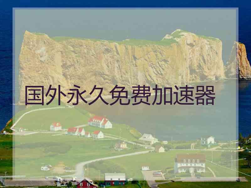 国外永久免费加速器