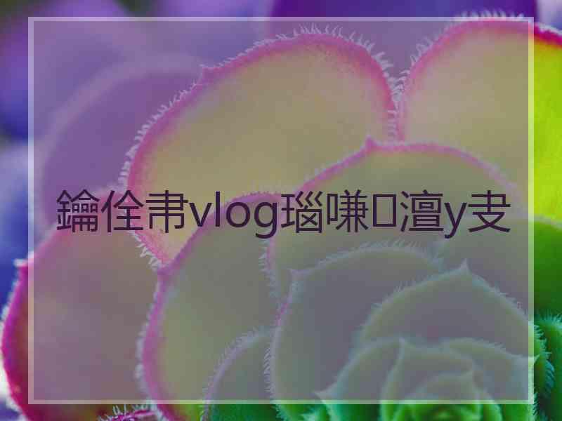 鑰佺帇vlog瑙嗛澶у叏