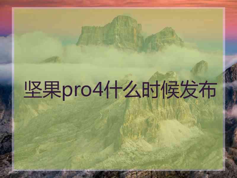 坚果pro4什么时候发布