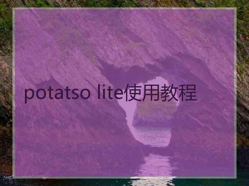 potatso lite使用教程