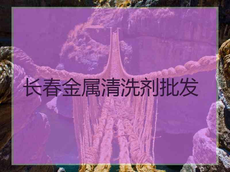 长春金属清洗剂批发