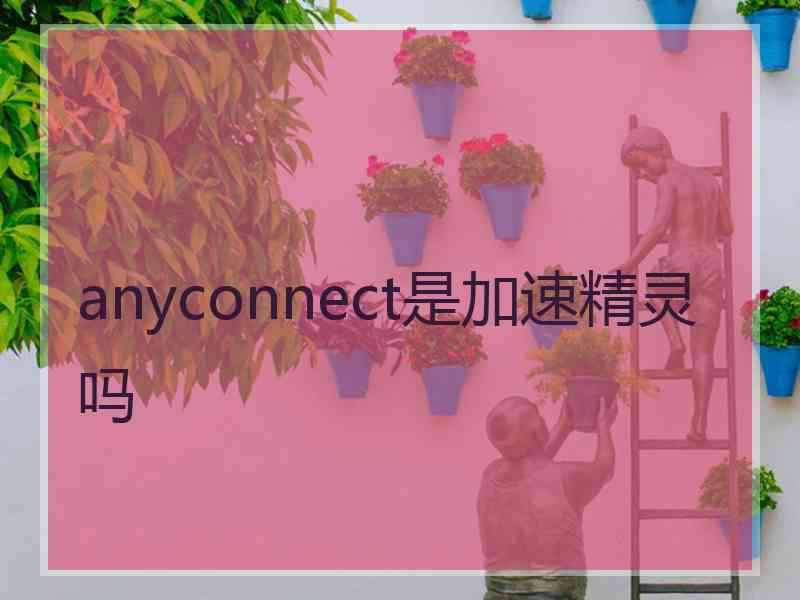 anyconnect是加速精灵吗