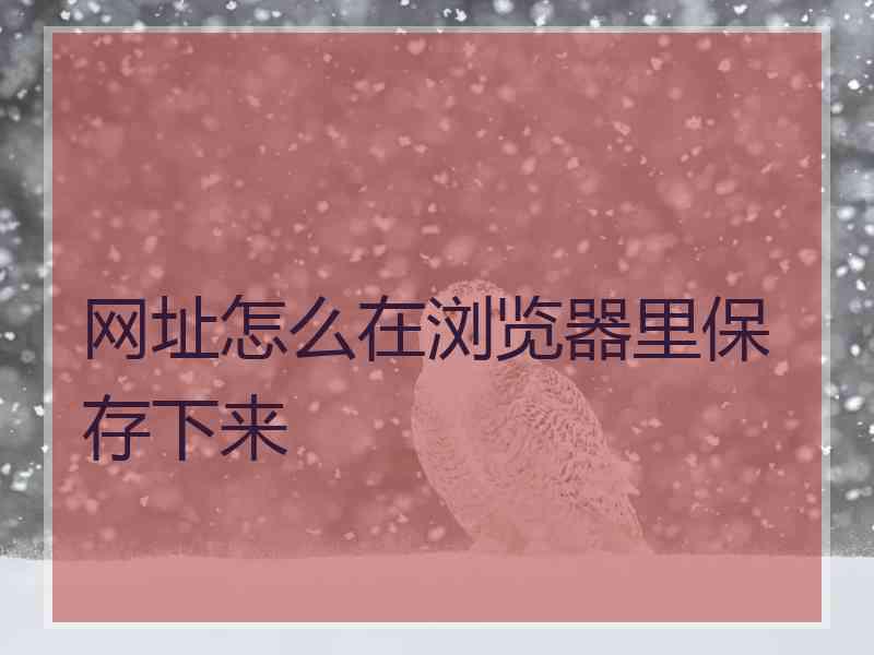 网址怎么在浏览器里保存下来