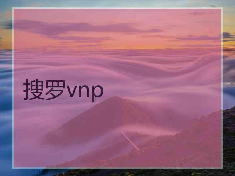 搜罗vnp