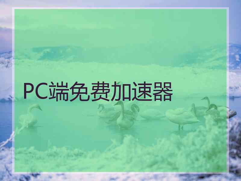 PC端免费加速器