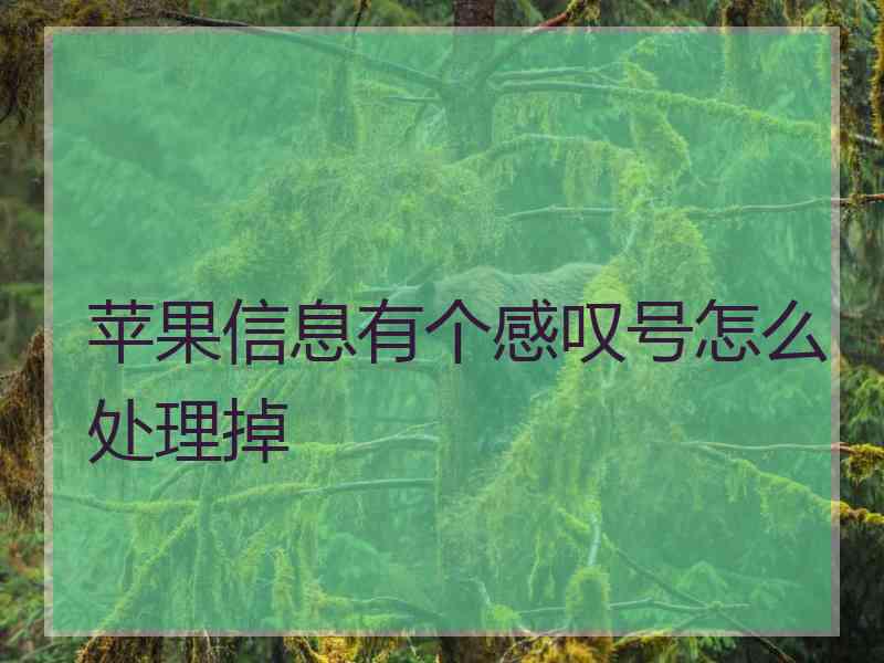 苹果信息有个感叹号怎么处理掉