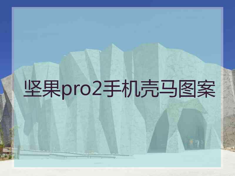 坚果pro2手机壳马图案