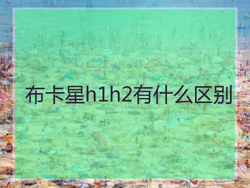 布卡星h1h2有什么区别